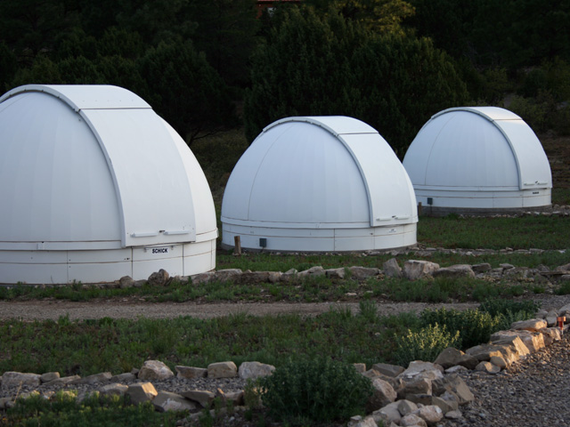 pro-domes